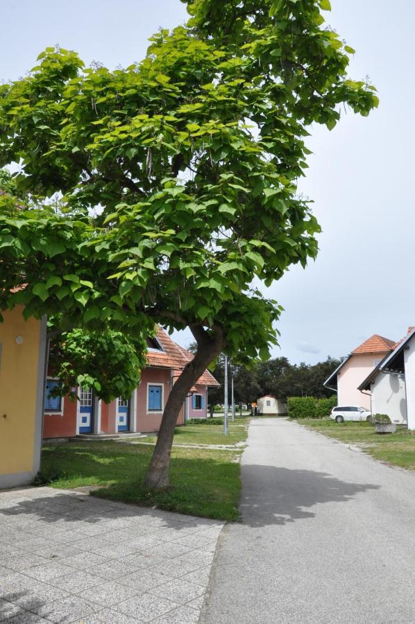 Apartma Julija Hiska 59 Catez ob Savi Ngoại thất bức ảnh